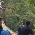 Jembatan Gantung Pongpet Ambruk Dilewati Bupati Pangandaran!