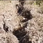 Tanah di Golo Pateng Retak Seusai Diguncang Gempa Manggarai